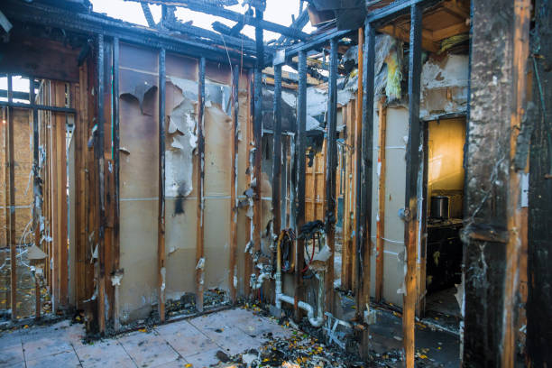 Professional Odor Removal technician working in Buckner, KY